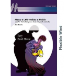 Many a Little makes a Mickle - solo for Clarinet (Soprano Sax) and youth orchestra - Eric Waerts