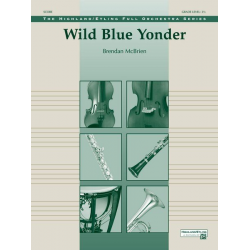 Wild Blue Yonder - Brendan McBrien