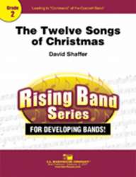 The Twelve Songs of Christmas - David Shaffer