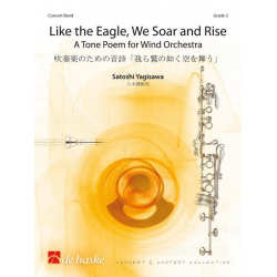 Like the Eagle, we Soar and Rise - Satoshi Yagisawa