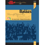 Music with Chequered Ears - Arpad Balázs