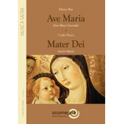 Ave Maria / Mater Dei - Flavio Remo Bar
