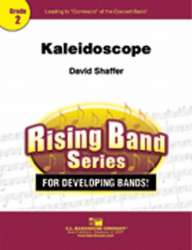 Kaleidoscope - David Shaffer
