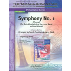 Symphony No. 1 Theme - Sandy Feldstein & Larry Clark