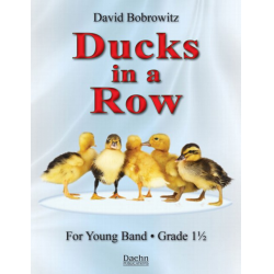 Ducks in a Row - David Bobrowitz