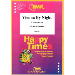 Vienna By Night - Jérôme Naulais