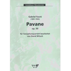 Pavane op. 50 - Gabriel Fauré / Arr. David Witsch