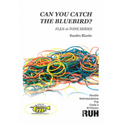Can you catch the Bluebird? - Sandro Blastic