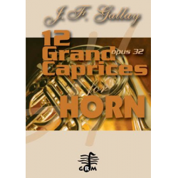 12 Grands Caprices - Opus 32 - Jacques-Francois Gallay / Arr. Rik Vercruysse