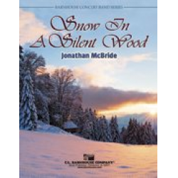 Snow In A Silent Wood - Jonathan McBride