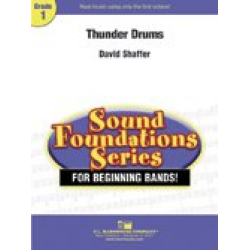 Thunder Drums - David Shaffer