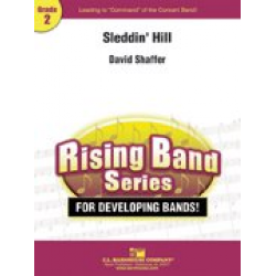 Sleddin' Hill - David Shaffer