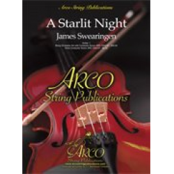 A Starlit Night - James Swearingen