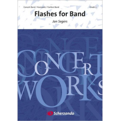 Flashes for Band -Jan Segers
