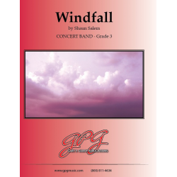 Windfall - Shaun Salem