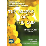 The Grapes Of The Sun - Impressionen aus der Weinregion Kaiserstuhl - Tuniberg - Mario Bürki
