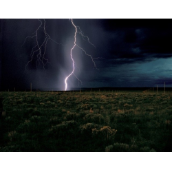 Lightning Field - John Mackey