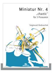 Miniatur Nr. 4 "chaotic" - Siegmund Andraschek