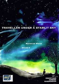 Traveller under a Starlit Sky