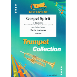Gospel Spirit - David Andrews / Arr. Jérôme Naulais