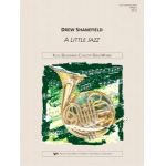 A Little Jazz - Drew Shanefield