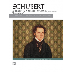 Allegro A Minor - Franz Schubert