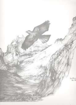 Catalogue d'oiseaux vol.1 :