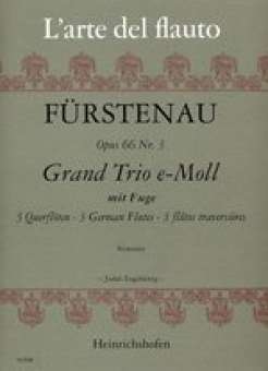 Grand Trio e-Moll : 3 Querflöten