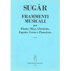 Frammenti Musicali - Zucchero (Adelmo Fornaciari)
