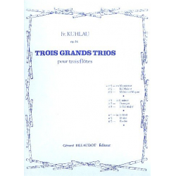 Grand trio sol majeur op.86 no.1 : - Friedrich Daniel Rudolph Kuhlau
