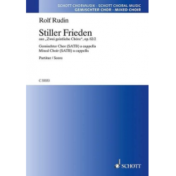 Stiller Frieden, 82/2 - Rolf Rudin