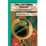 The Lion Sleeps Tonight (marching band)