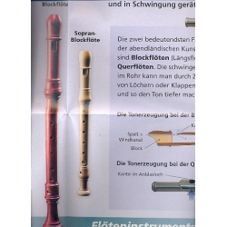 Die Flöte : Instrumenten - Poster