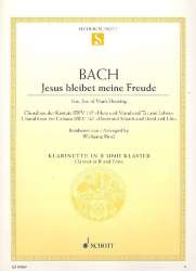 Jesus bleibet meine Freude BWV147 - Johann Sebastian Bach / Arr. Wolfgang Birtel