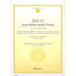 Jesus bleibet meine Freude BWV147 - Johann Sebastian Bach / Arr. Wolfgang Birtel