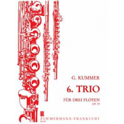 Trio Nr.6 op.59 : für - Caspar Kummer