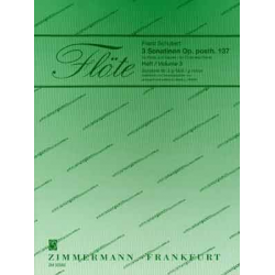 Sonatine g-Moll Nr.3 D408 : für - Franz Schubert / Arr. Hans Ludwig Hirsch