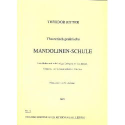Theoretisch-praktische - Theodor Ritter