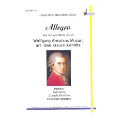 Allegro aus der Symphonie Nr. 25 - Wolfgang Amadeus Mozart / Arr. Uwe Krause-Lehnitz