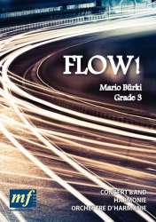 Flow! - Mario Bürki