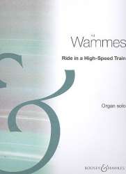 Ride in a High-Speed Train : - Ad Wammes