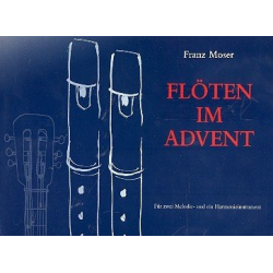 Flöten im Advent : für 2 Melodie-