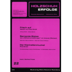 Holzschuh-Erfolge Band 22 :