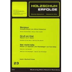 Holzschuh-Erfolge Band 23 :