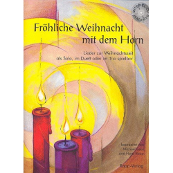 Fröhliche Weihnacht mit dem Horn (inkl. CD) - Horst Rapp