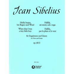 Hållilå, uti storm och i regn op. 60/2 - Jean Sibelius