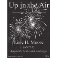 Up in the Air - David R. Holsinger