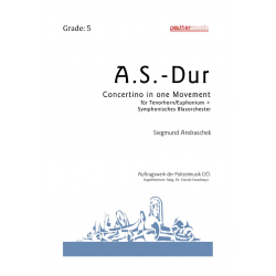A.S.-Dur - Concertino in one Movement - Siegmund Andraschek