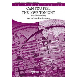 Can You Feel the Love Tonight - Marc Jeanbourquin