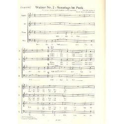 Walzer Nr.2 (Sonntags im Park) - Dmitri Shostakovitch / Schostakowitsch